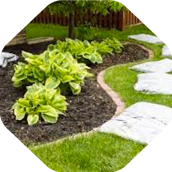 Mulch Installation Service in Lewisville Mulching Service