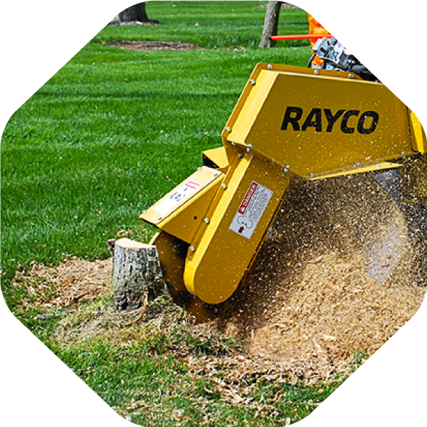 Best Stump Removal Service in Little Elm TX Stump Grinding